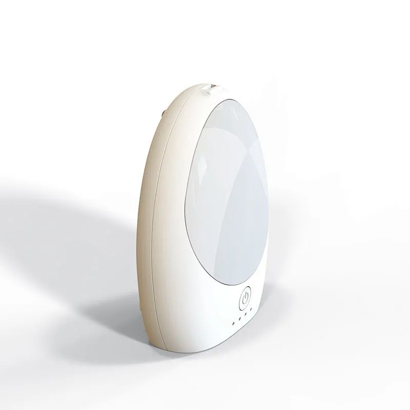 Multi-functional ozone sanitizier with led light