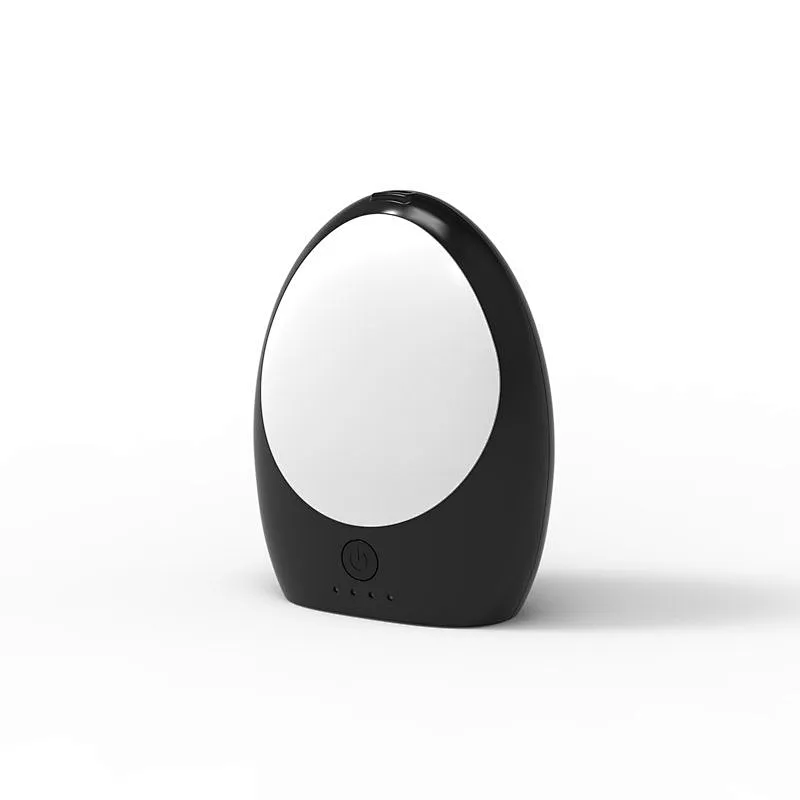 Multi-functional ozone sanitizier with led light