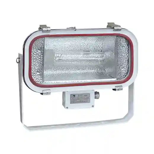 TG67 Stainless Steel Marine Flood Light 100-230V E40/500W R7s/1000W