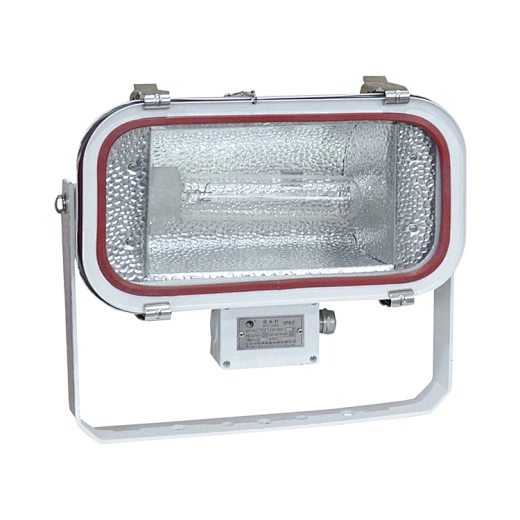 TG67 Stainless Steel Marine Flood Light 100-230V E40/500W R7s/1000W