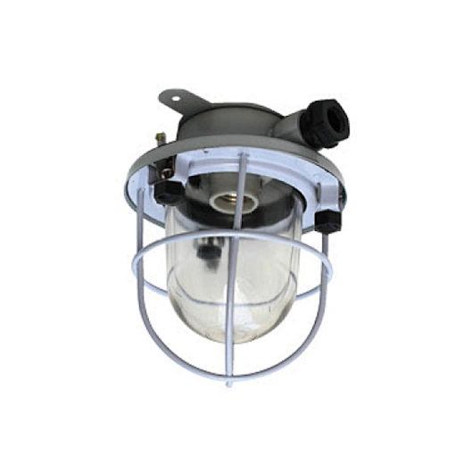 CCD1-2 Marine Pendant Light