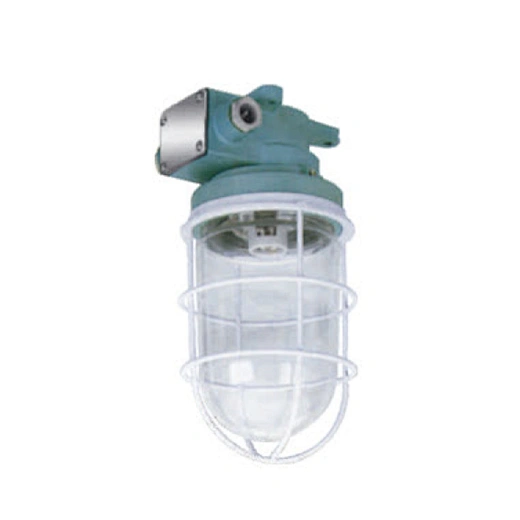 DS7-4M Marine Work Light