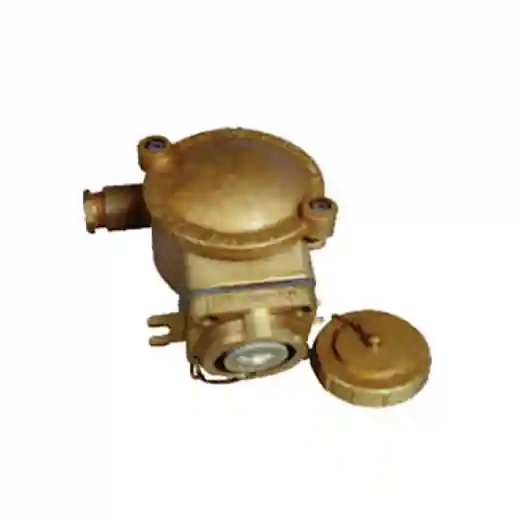 dCZH202-2 Brass Ex de IIC T6 250V/16A Explosion-proof Socket