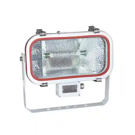 TG18 Stainless Steel Marine Flood Light R7s 100-230V 200-500W