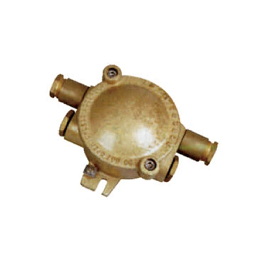 dCJXH202-1 Brass Ex e II T6 Explosion-proof Junction Box