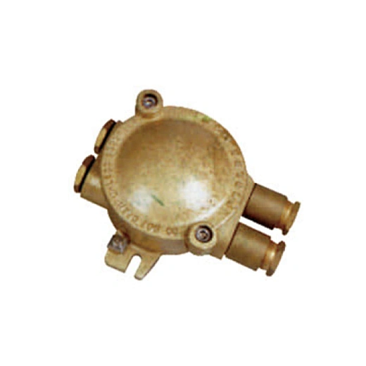 dCJXH202-2 Brass Ex e II T6 Explosion-proof Junction Box
