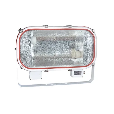 TG19 Stainless Steel Marine Flood Light E40 100-230V 2x250/2x400W