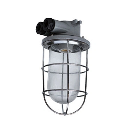 CCD6-2B Marine Pendant Light