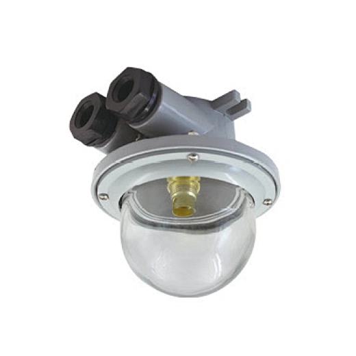 CCD5-2B Marine Pendant Light
