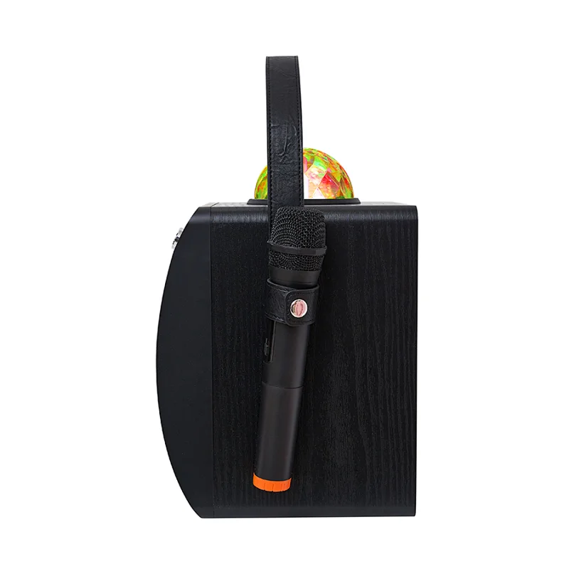 Wood Party Speaker