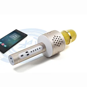 Bluetooth Karaoke Microphone