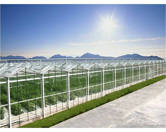 The greenhouse solar mounting system manufacturer