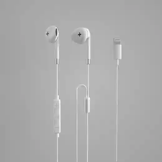 Wired earphone