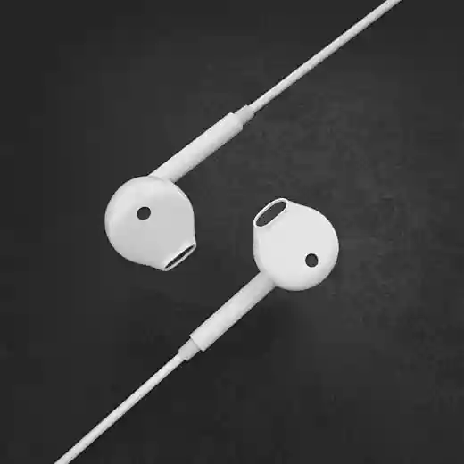 wired earphone