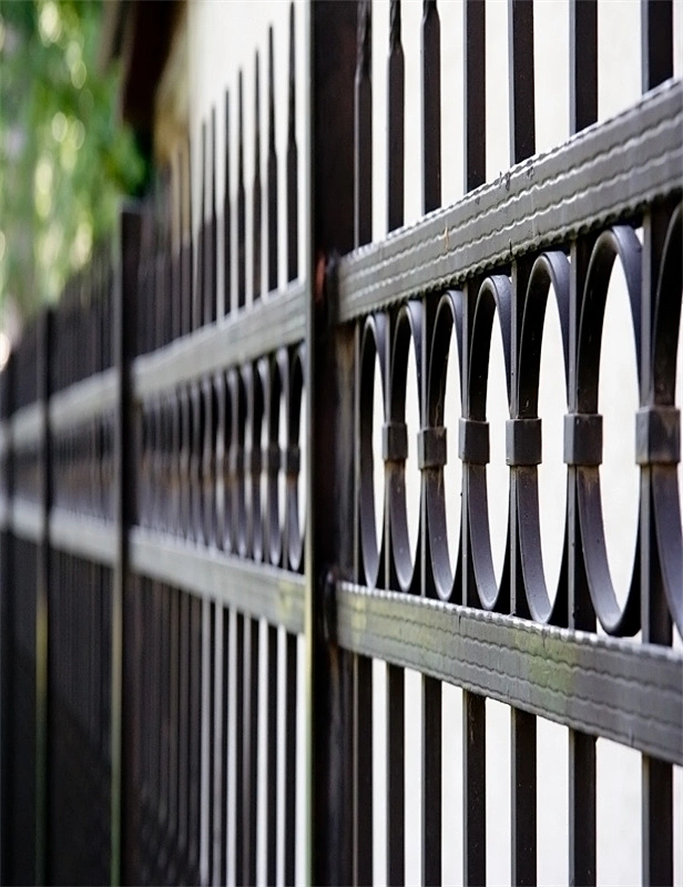 Rings Adornment Steel Fence