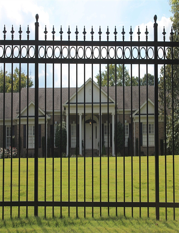 Rings Adornment Steel Fence