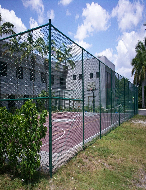 PVC Coated Chain Link Fence