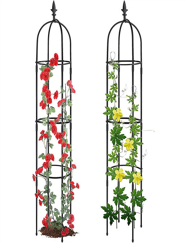 Garden Trellis