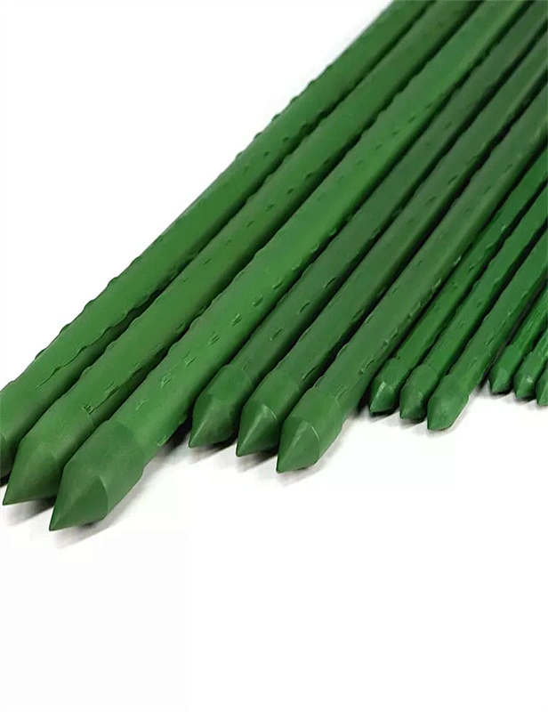 China Supply Garden Stakes Steel Tomato Stakes