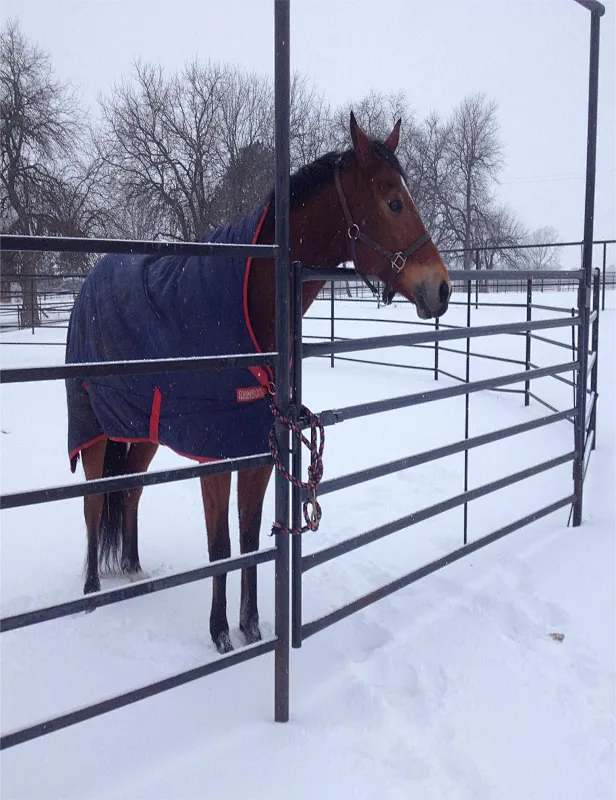 Galvanized corral pen