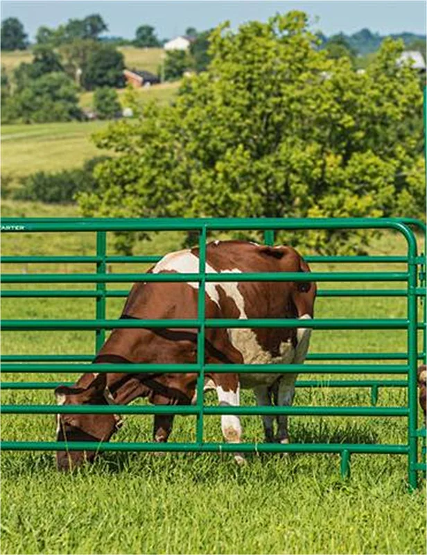 High Quality Welded livestock Fence Panel