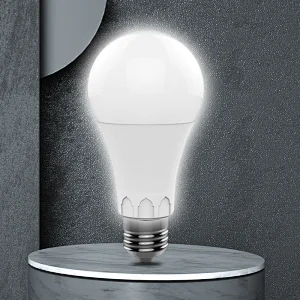 New A Bulb Castle Series