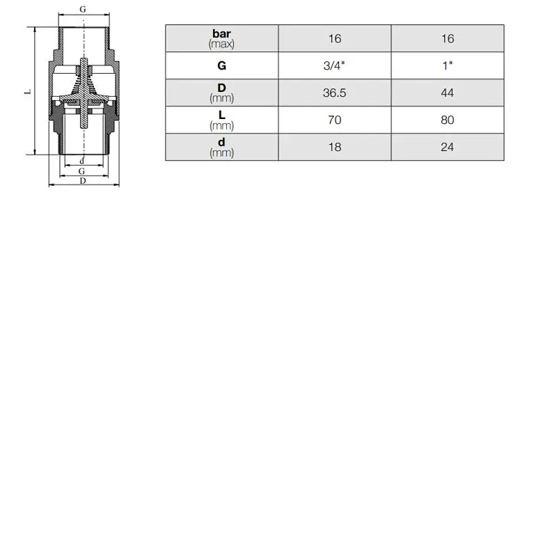 Spring Check Valve Plastic Disc MxM