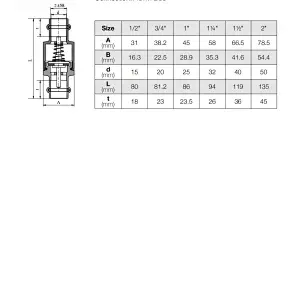 Spring Check Valve Press Ends