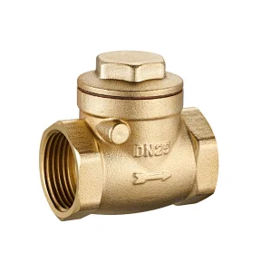 Swing Check Valve