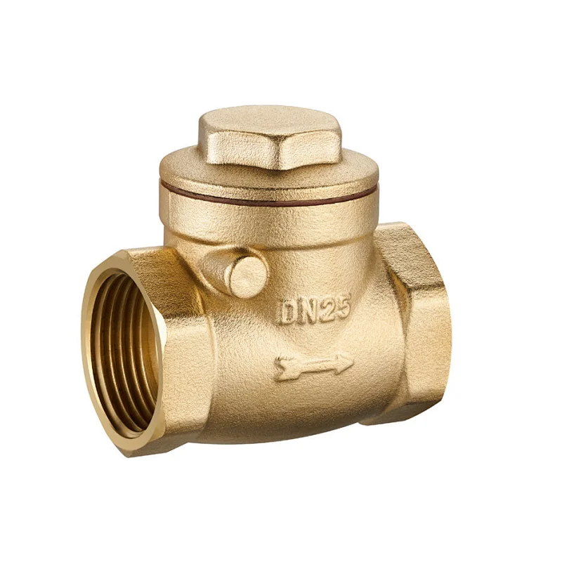 Swing Check Valve