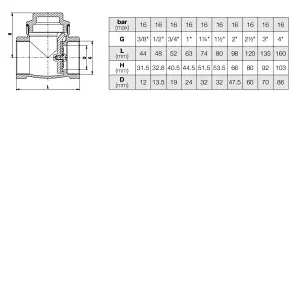 Swing Check Valve
