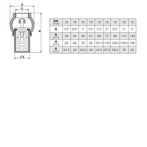 Foot Valve