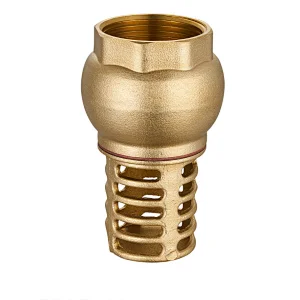 Foot Valve