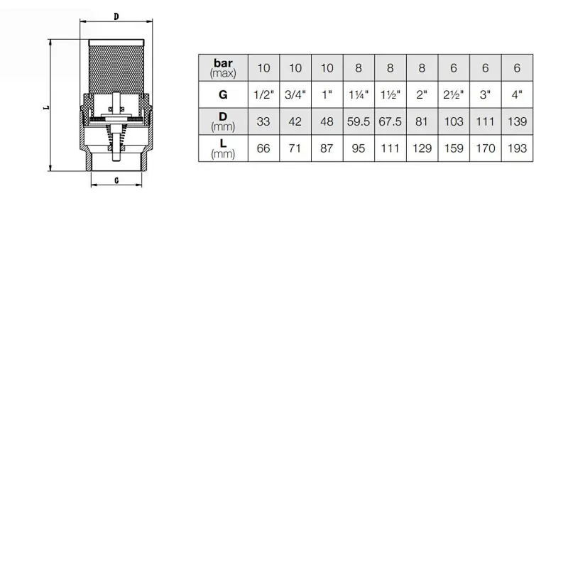 Foot Valve Brass Disc