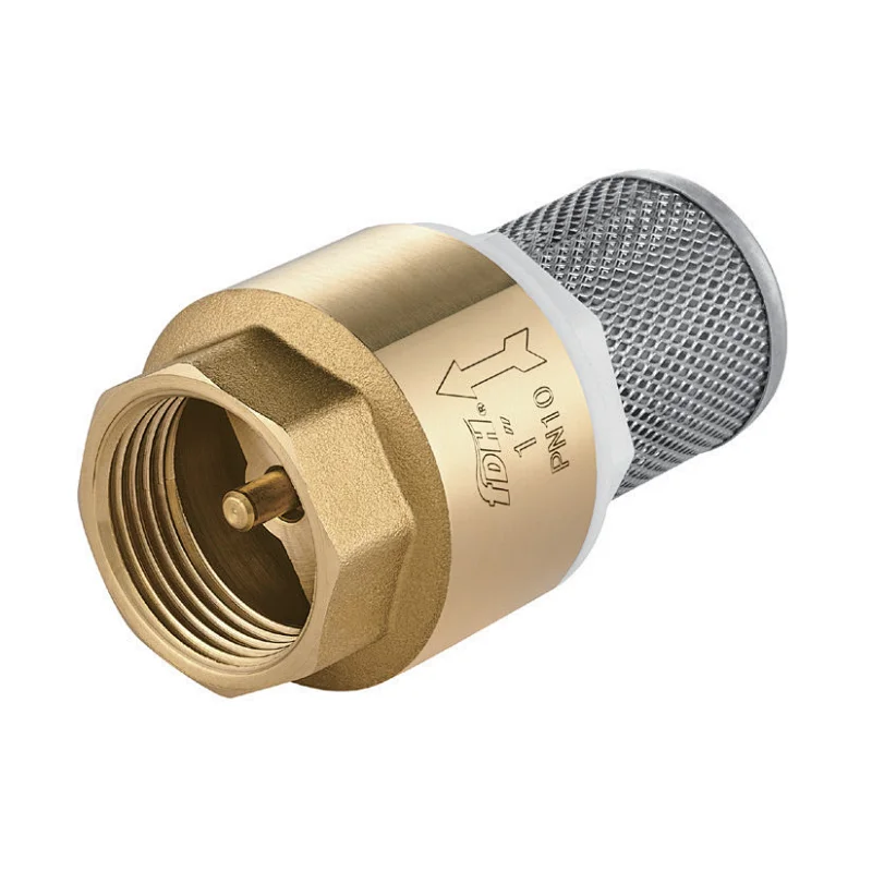 Foot Valve Brass Disc