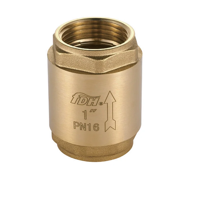 Spring Check Valve Brsas Disc