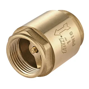 Spring Check Valve Brsas Disc