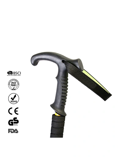 T handle walking stick