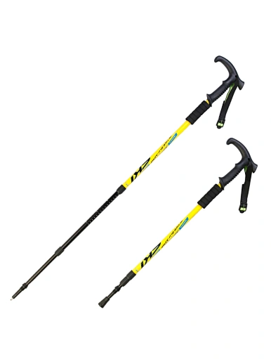 T handle walking stick