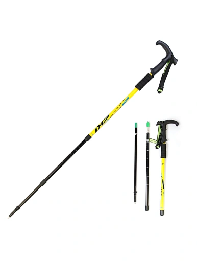 T handle walking stick