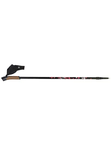 Nordic Walking Poles With Cork Grips