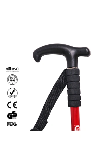T handle trekking pole